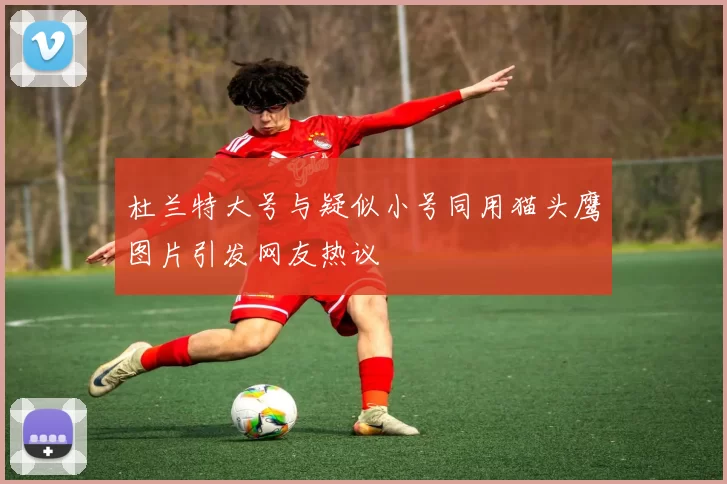 杜兰特大号与疑似小号同用猫头鹰图片引发网友热议